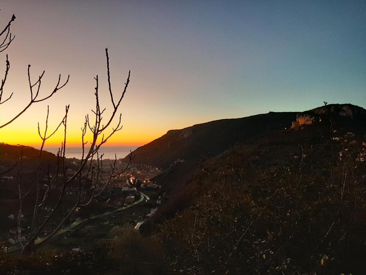 פינאלה ליגורה Agriturismo Alveare מראה חיצוני תמונה