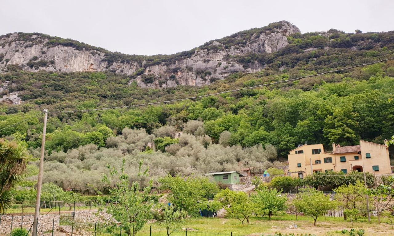 פינאלה ליגורה Agriturismo Alveare מראה חיצוני תמונה