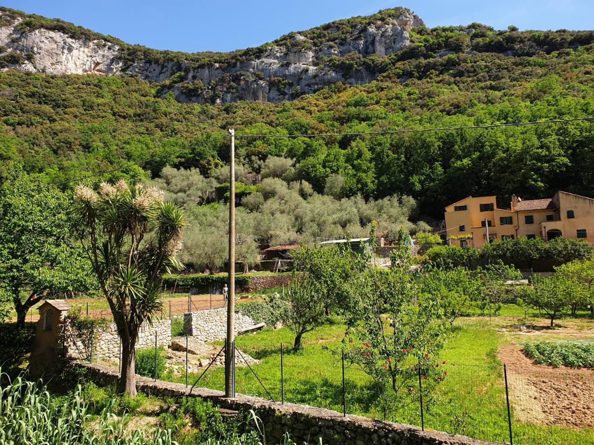פינאלה ליגורה Agriturismo Alveare מראה חיצוני תמונה