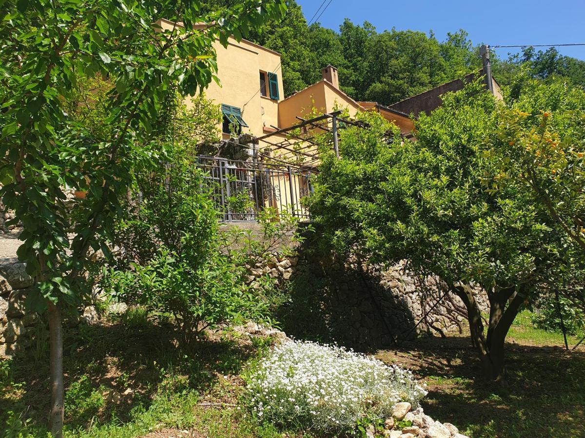 פינאלה ליגורה Agriturismo Alveare מראה חיצוני תמונה
