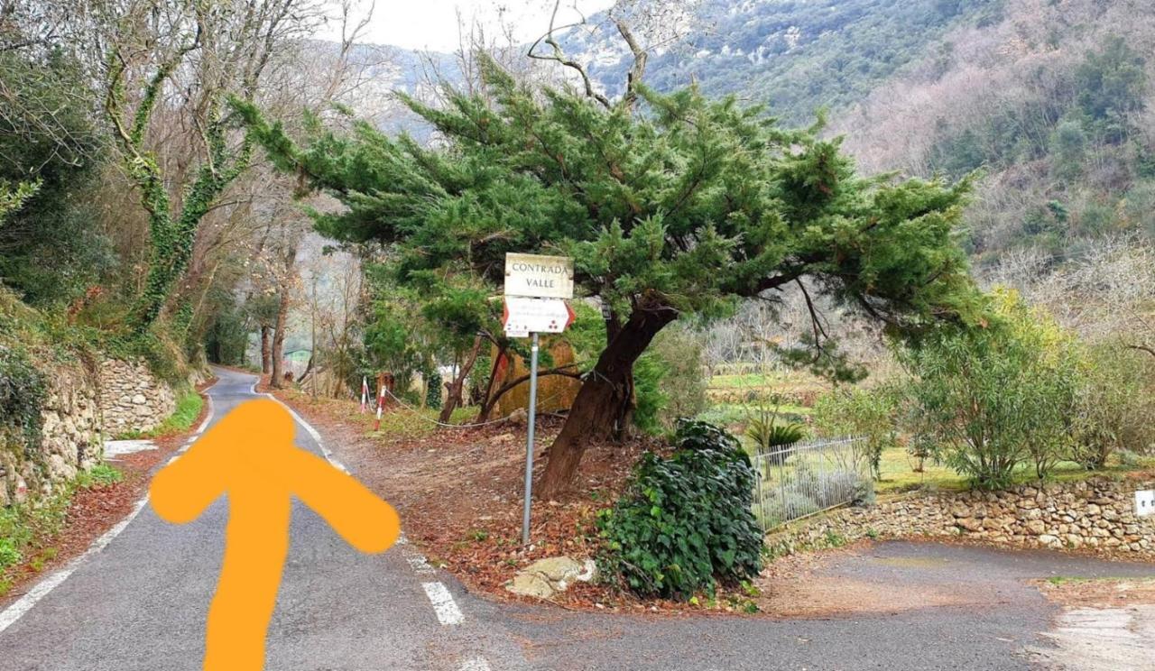פינאלה ליגורה Agriturismo Alveare מראה חיצוני תמונה